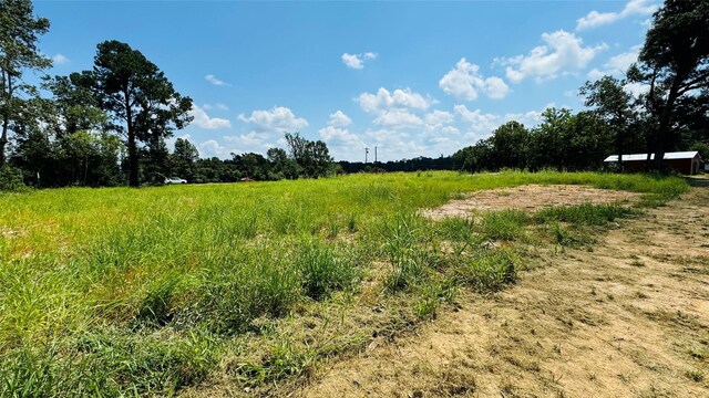 10582 State Highway 146 S, Livingston, TX 77351 - photo 3