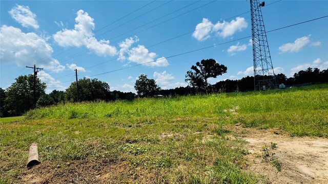 10582 State Highway 146 S, Livingston, TX 77351 - photo 18