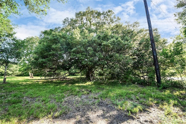 0 Patterson Rd, Manvel, TX 77578