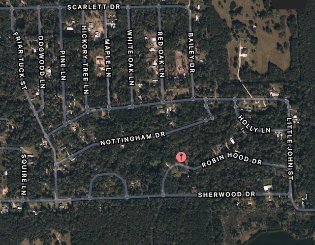 0 Robin Hood Dr, Shepherd, TX 77371