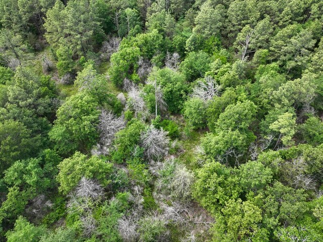 4 Round Prairie Rd, Huntsville, TX 77320 - photo 10