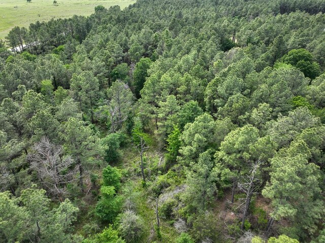 4 Round Prairie Rd, Huntsville, TX 77320 - photo 11
