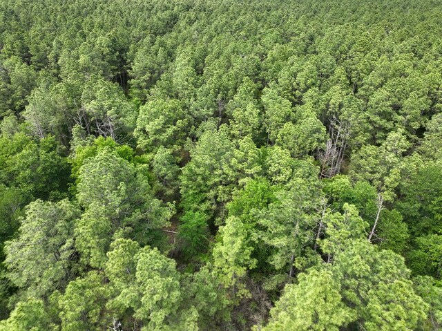 4 Round Prairie Rd, Huntsville, TX 77320 - photo 12