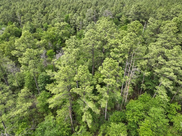 4 Round Prairie Rd, Huntsville, TX 77320 - photo 13