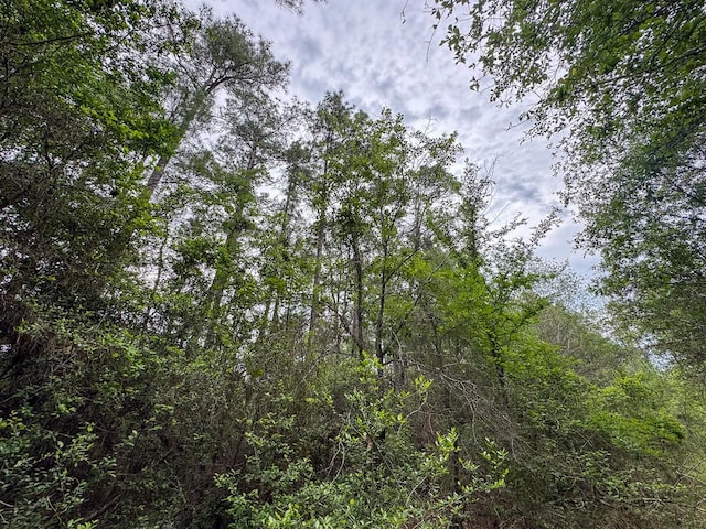 4 Round Prairie Rd, Huntsville, TX 77320 - photo 16