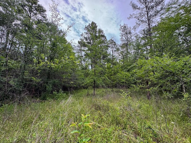 4 Round Prairie Rd, Huntsville, TX 77320 - photo 17