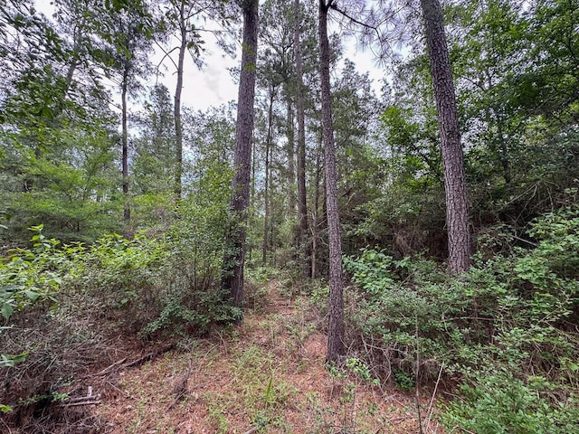 4 Round Prairie Rd, Huntsville, TX 77320 - photo 18