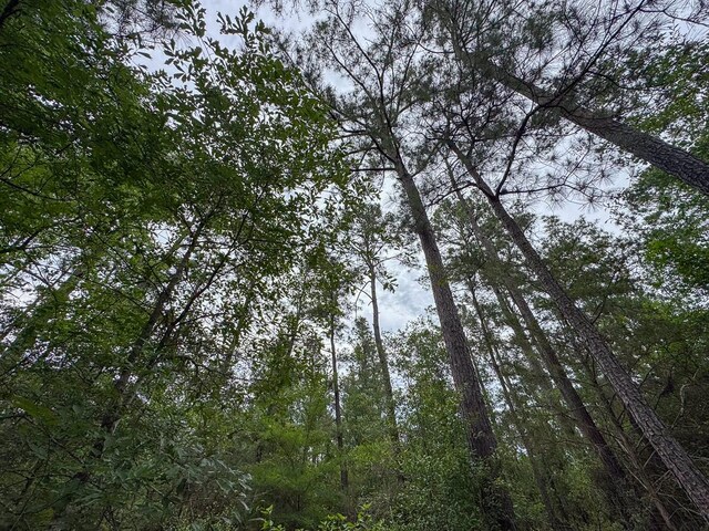 4 Round Prairie Rd, Huntsville, TX 77320 - photo 19