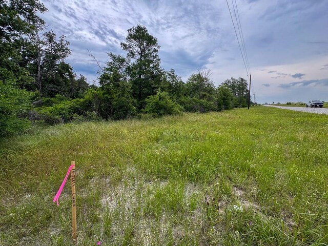 4 Round Prairie Rd, Huntsville, TX 77320 - photo 22