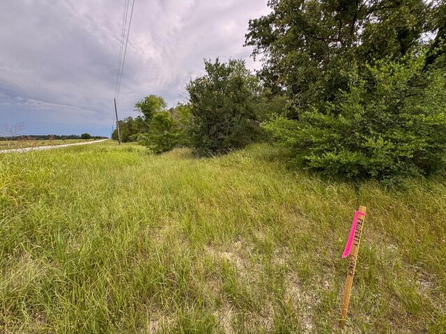 4 Round Prairie Rd, Huntsville, TX 77320 - photo 23