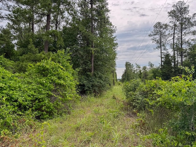 4 Round Prairie Rd, Huntsville, TX 77320 - photo 25