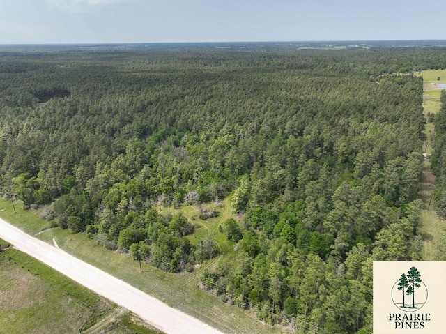 4 Round Prairie Rd, Huntsville, TX 77320 - photo 2