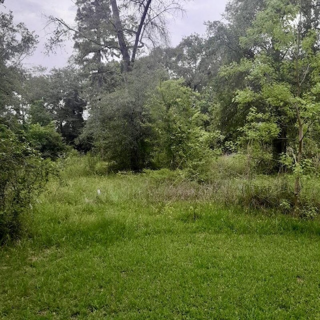 765 Fm 3083, Conroe, TX 77301