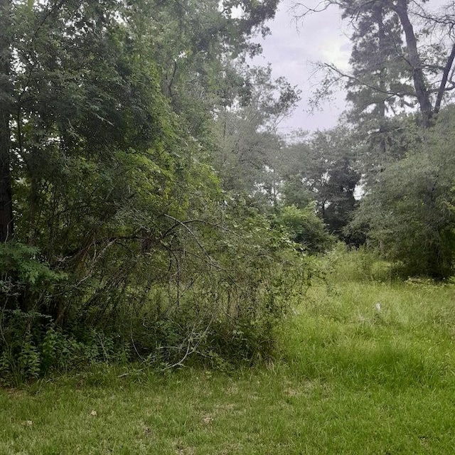 765 Fm 3083, Conroe, TX 77301
