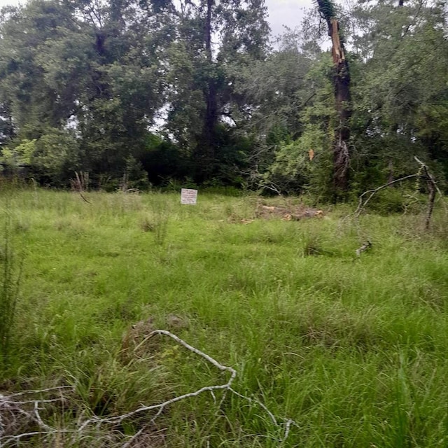 765 Fm 3083, Conroe, TX 77301