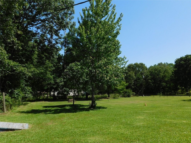 247 Warbler Ln, Livingston, TX 77351 - photo 10