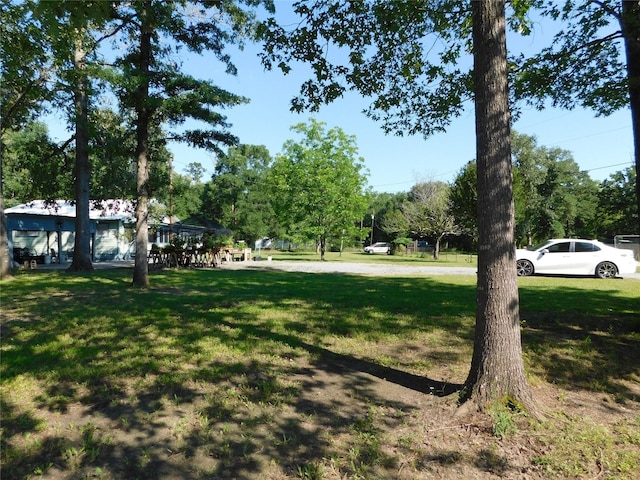 247 Warbler Ln, Livingston, TX 77351 - photo 29