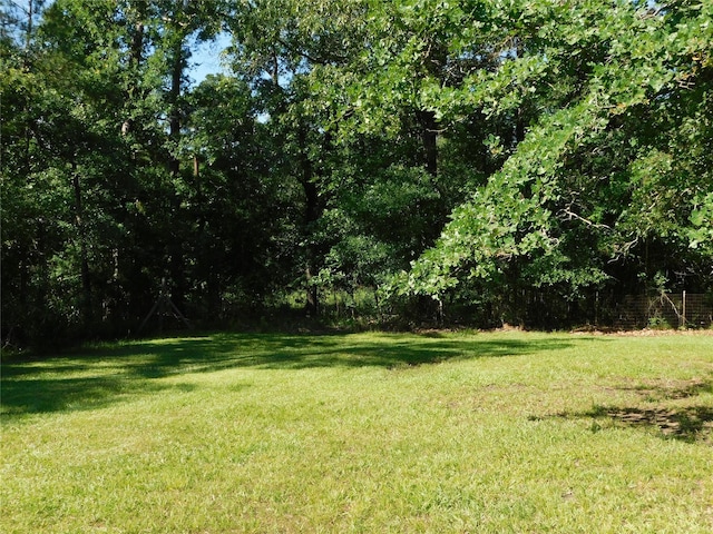 247 Warbler Ln, Livingston, TX 77351 - photo 30