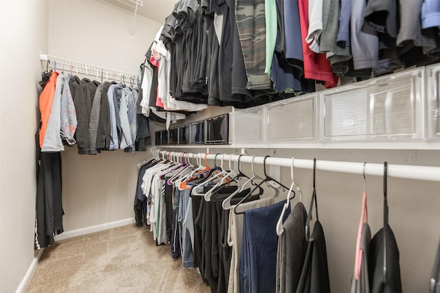 19315 S Cottonwood Green Ln, Cypress, TX 77433 - spacious closet with light carpet