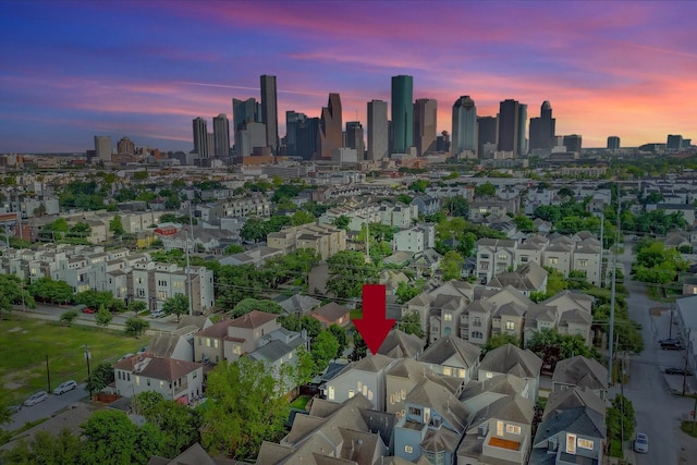 2010 Sabine St, Houston, TX 77007 - view of city