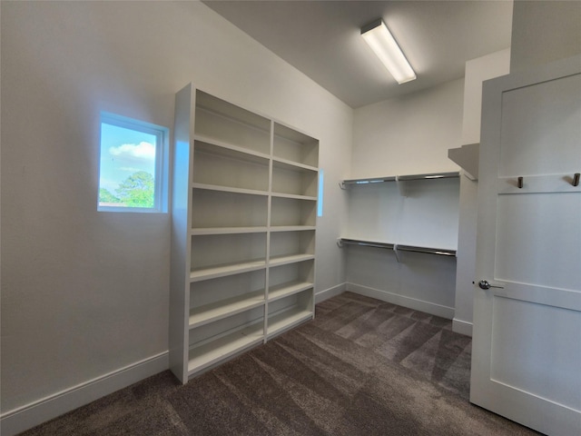 3308 Cardinal Crest Ln, Houston, TX 77080 - spacious closet with dark colored carpet