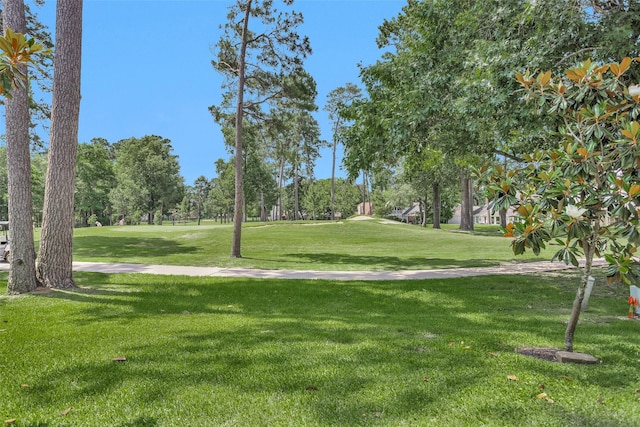 13607 Summer Hill Dr, Montgomery, TX 77356 - view of home's community featuring a lawn