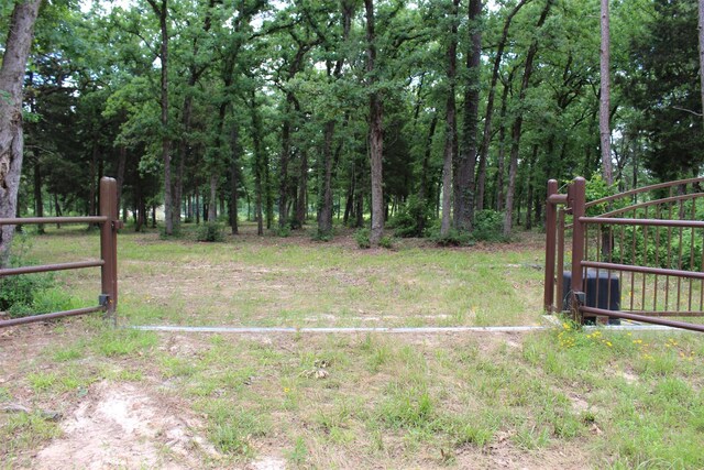 TRACT118 Private Road 1313, Centerville, TX 75833 - photo 9