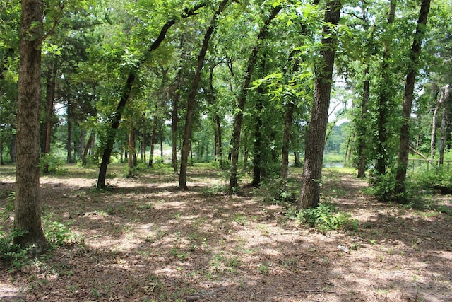 TRACT118 Private Road 1313, Centerville, TX 75833 - photo 17