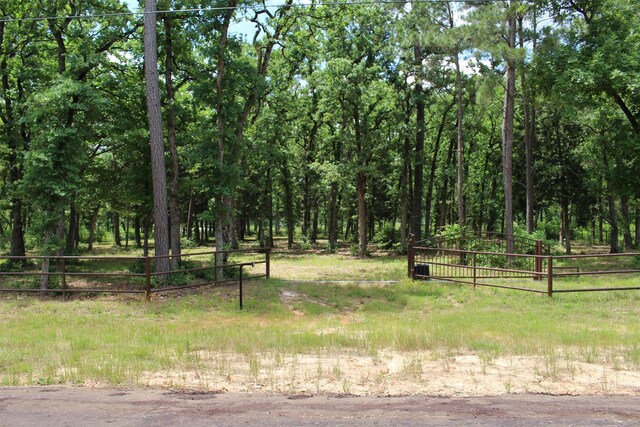 TRACT118 Private Road 1313, Centerville, TX 75833 - photo 18