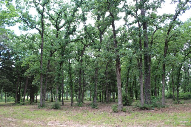 TRACT118 Private Road 1313, Centerville, TX 75833 - photo 12