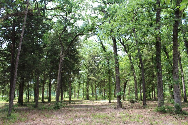TRACT118 Private Road 1313, Centerville, TX 75833 - photo 13