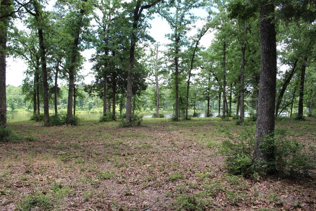 TRACT118 Private Road 1313, Centerville, TX 75833 - photo 14
