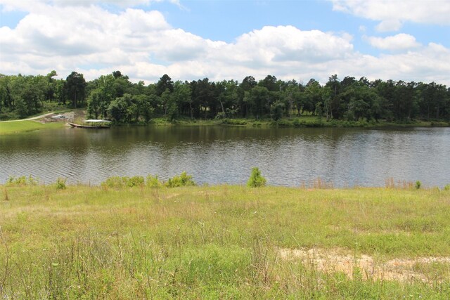 TRACT118 Private Road 1313, Centerville, TX 75833 - photo 11