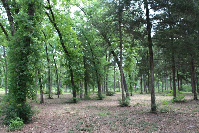 TRACT118 Private Road 1313, Centerville, TX 75833 - photo 16