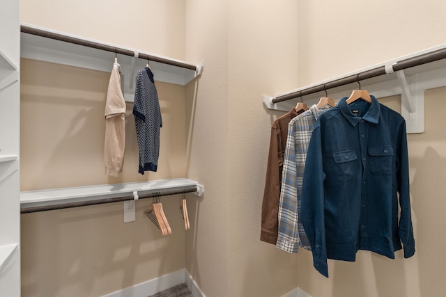 12027 Crooked Creek Ln, Santa Fe, TX 77510 - view of spacious closet