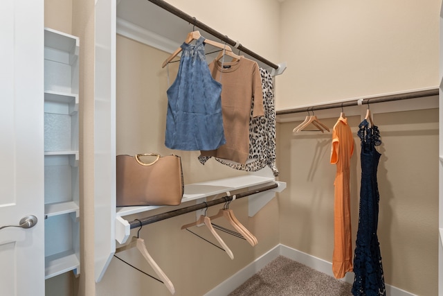 12027 Crooked Creek Ln, Santa Fe, TX 77510 - walk in closet featuring carpet