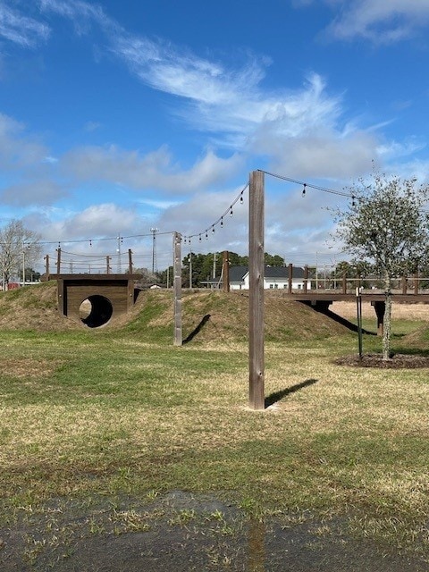 12027 Crooked Creek Ln, Santa Fe, TX 77510 - view of grassy yard