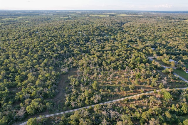 1420 Kothmann Dr, Seguin, TX 78155