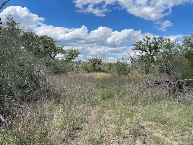 1420 Kothmann Dr, Seguin, TX 78155