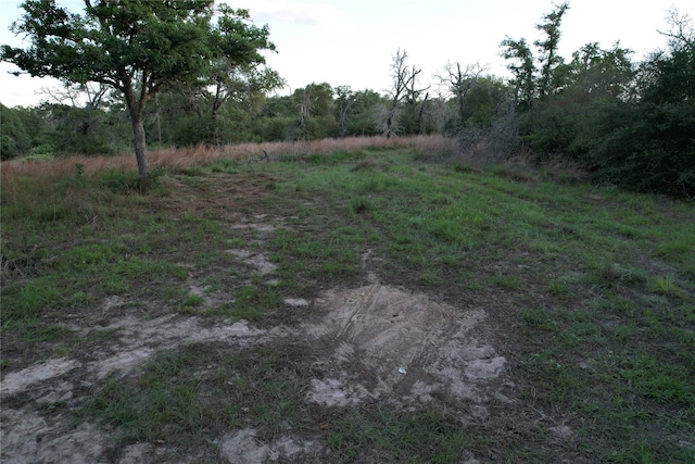1420 Kothmann Dr, Seguin, TX 78155