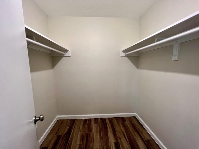 1705 Westwind Dr, Brenham, TX 77833 - spacious closet with dark wood-type flooring