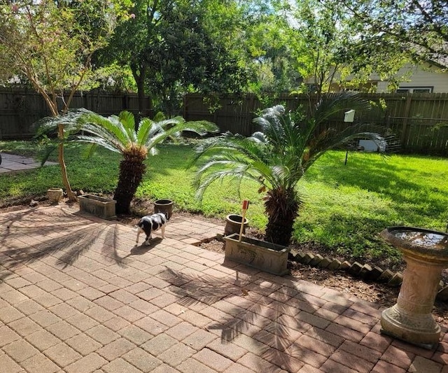 209 Montclaire Dr, West Columbia, TX 77486 - fenced backyard with a patio