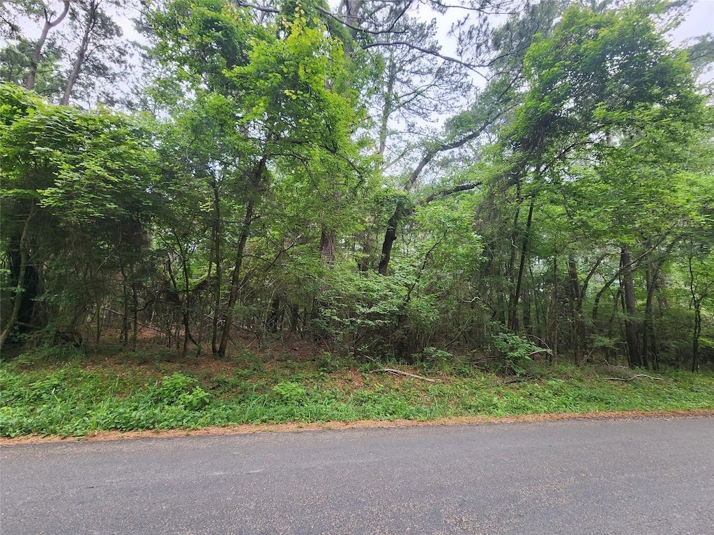 207 Long King, Livingston, TX 77351 - photo 2