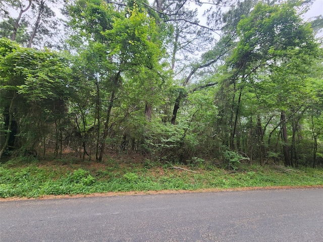 207 Long King, Livingston, TX 77351 - photo 2