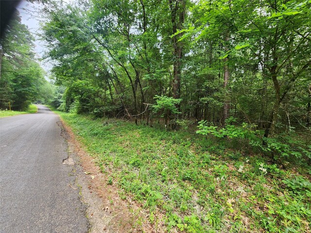 207 Long King, Livingston, TX 77351 - photo 3