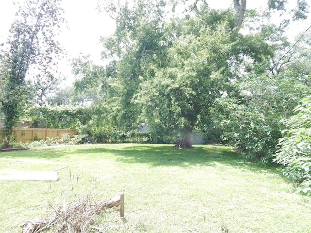 846 Magnolia St, Lake Jackson, TX 77566 - view of yard
