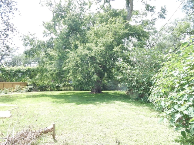 846 Magnolia St, Lake Jackson, TX 77566 - view of yard