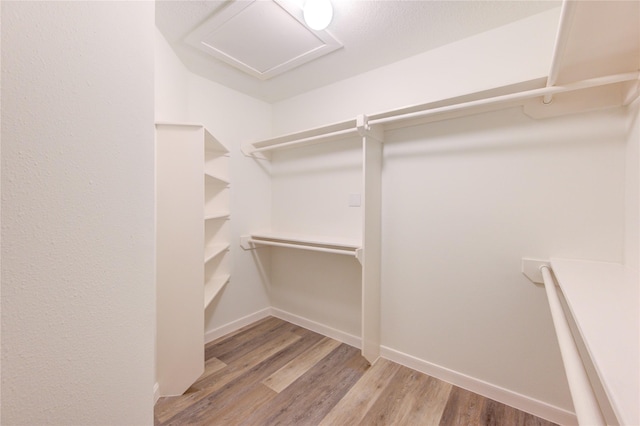12507 Antean Way Ct, Houston, TX 77065 - walk in closet featuring wood finished floors