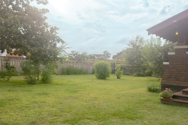 605 Sue St, Houston, TX 77009 - view of yard