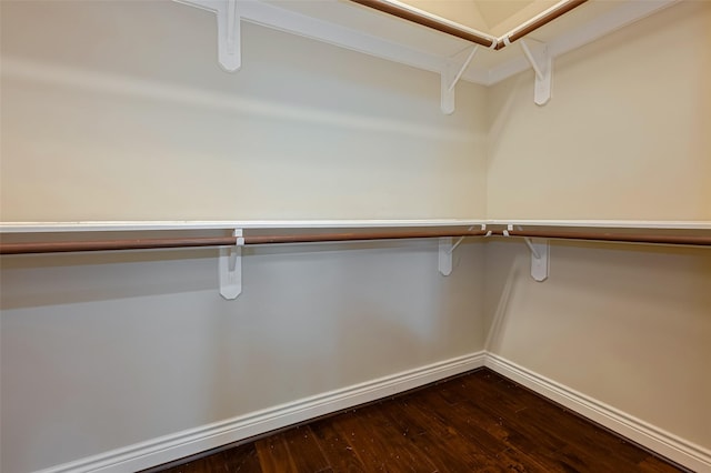 spacious closet featuring dark wood-type flooring